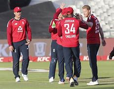 Image result for African Cricket Animal