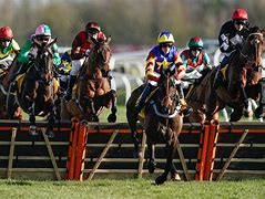 Image result for National Hunt Racing