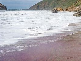 Image result for Purple Sand Beach California
