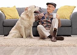 Image result for Guy Sitting Petting Dog