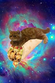 Image result for Trippy Space Cat