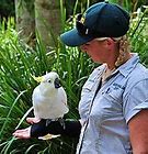 Image result for Lady Zookeeper
