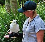 Image result for Something Special Zookeeper