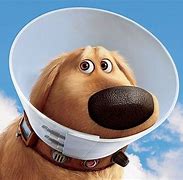 Image result for The Dog for Movie Up Picture