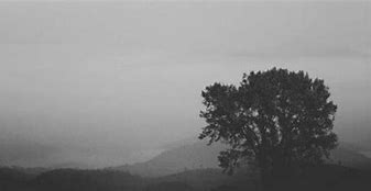 Image result for Grey Aesthetic Header