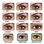 Image result for Monthly Colored Contact Lenses
