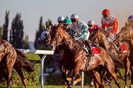 Image result for Japanese Horse Racing
