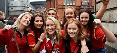 Image result for England/Scotland Wales Fans