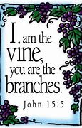 Image result for Jesus Vine Branch Clip Art