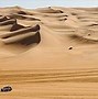 Image result for Desert Plants and Trees