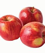 Image result for Autum Glory Apple