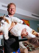 Image result for biggest cats ever