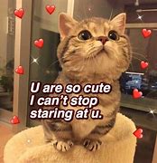 Image result for Soft Cute Memes