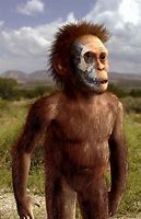Image result for Australopithecus