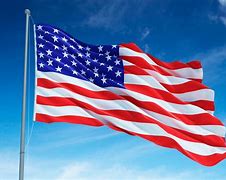 Image result for U.S. Flag