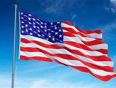 Image result for U.S. Flag