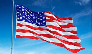 Image result for American Red Flag Color