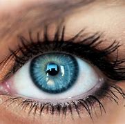 Image result for Best Color Contact Lenses