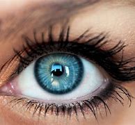 Image result for Eye Color Contact Lens