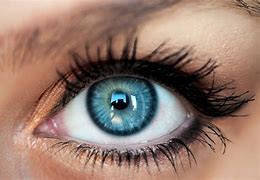 Image result for Contact Lenses Types