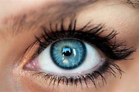Image result for Cosmetic Contact Lenses Blue