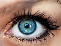 Image result for Contact Lenses Images