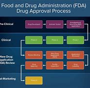 Image result for Pre-Approval Inspection Process by FDA Flow Chart