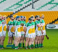 Image result for Offaly GAA