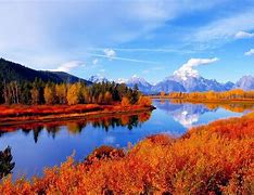 Image result for Computer Wallpaper Fall Scenes