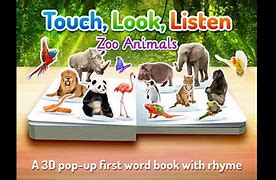 Image result for Animals Zoo iPad