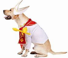 Image result for Dog Pope Costume