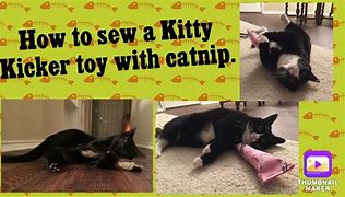 Image result for Catnip Toys to Sew