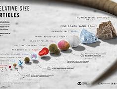 Image result for Things That Are Smaller than 1 Millimeter