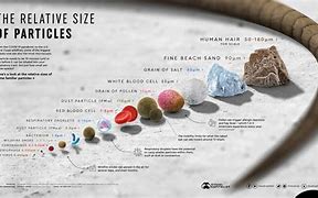 Image result for Micron Particle Size Comparison