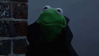 Image result for Kermit Window Meme Wondering Where the People I Gave Directions