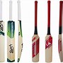 Image result for Cricket Bat Details
