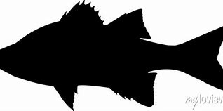 Image result for White Bass Fish Silhouettes