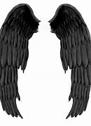 Image result for black wings