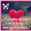 Image result for Love You Quotes in Spanish