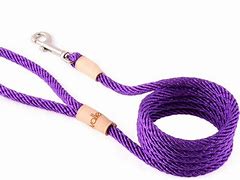 Image result for Braided Rope Dog Leashes