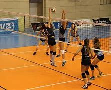 Image result for Volleyballfeld
