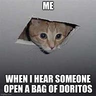 Image result for Dorito Cat Meme