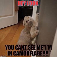 Image result for You Can't See Me Meme