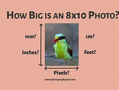 Image result for How Big Is 25Mm