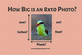 Image result for 8X10 Actual Size