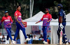 Image result for World Cricket