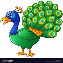 Image result for Peacock Cartoon Clip Art