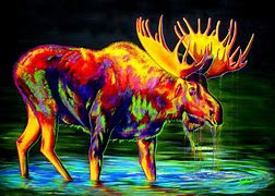 Image result for Trippy Moose