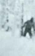 Image result for Russian Yeti