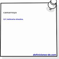 Image result for camarroya